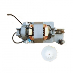 230 VAC Motor with Gear