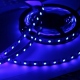 5050 Blue LED Strip (12 V)