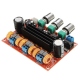 2.1 Audio Amplifier Module (2x50 W + 100 W)