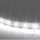 5630 Cool White LED Strip (8000 K, 12 V)