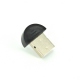 Bluetooth v2.1 EDR USB Adapter