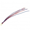 27 mm Stepper Motors Cable