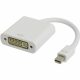 Mini DisplayPort Male to DVI Female  Adapter