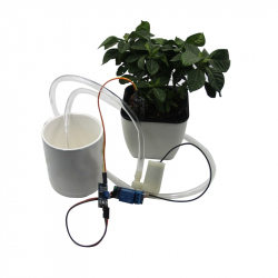 Automated Plant Watering System