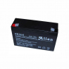 Acumulator plumb-acid (6 V, 10 A)