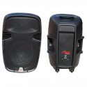 HPS2115 Passive ABS Enclosure for 15" Speaker