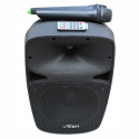 2810AUS-CB Active ABS Enclosure for 10" Speaker