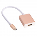 Adaptor USB Tip C către HD (Auriu)
