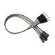 20 cm 10p Male-Female Wires