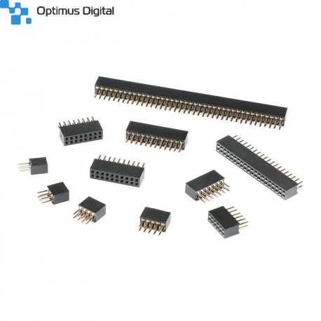 Header de Pini Mamă de 1.27 mm 2 x 6p