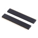 Header de Pini Mamă 20p 2.54 mm