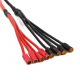 5.5MM BULLET TO 6 X 4MM BULLET MULTISTAR ESC POWER BREAKOUT CABLE