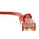 1 meter CAT6A UTP Patch Cable Red