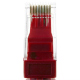 Cablu CAT6 UTP 24AWG CCA Rosu 5 m