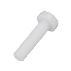 M2 White Plastic Screw with Round Head (5 mm)