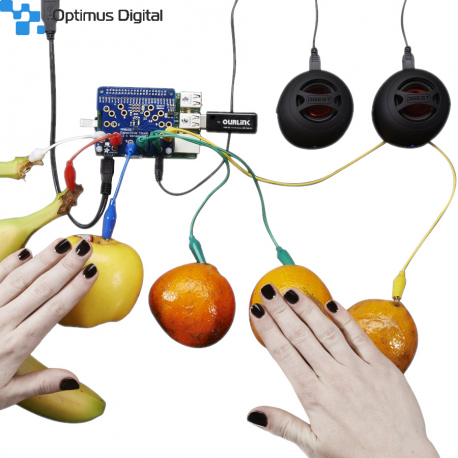 Capacitive Touch HAT pentru Raspberry Pi - Mini Kit - MPR121