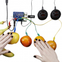 Modul HAT Raspberry Pi pentru 12 Butoane Capacitive