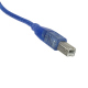 30 cm USB AM to BM Blue Cable for Arduino Mega and UNO