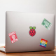 Abțibild Logo Raspberry Pi Curcubeu (1.97" x 1.97")