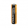 LR03 / AAA MN2400 Duracell Alkaline Battery