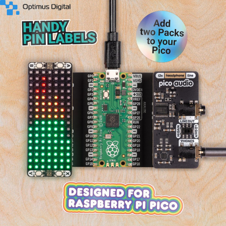 Pico Omnibus - Placa de Expansiune pentru Multiplicarea Pinilor si  Adaugarea a 2 Module la Raspberry Pi Pico