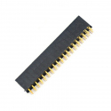 Header de Pini Mamă de 2.54 mm 2 x 19p