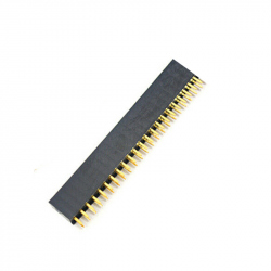 2 x 22p 2.54 mm Female Pin Header