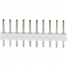Header de Pini Tată de 2.54 mm 10p (Alb)
