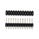 2 x 12p 2.54 mm Male Pin Header