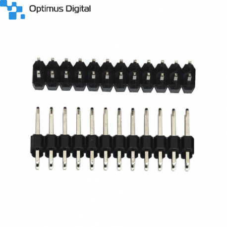 Header de Pini Tată de 2.54 mm 2 x 12p