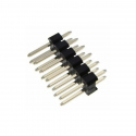 2 x 6p 2.54 mm Male Pin Header