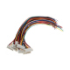 Cablu Conector pentru Motoare Pas cu Pas (20 cm) - 8p