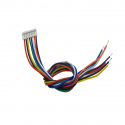 8p 1.25 mm Single Head Cable (20 cm)