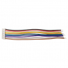 10p 1.25 mm Single Head Cable (15 cm)