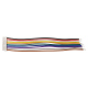 10p 1.25 mm Single Head Cable (10 cm)