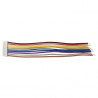 Cablu 10p 1.25 mm Mufat la un Singur Capat (10 cm)