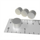 Magnet Disc din Neodim 14x10 mm N38H