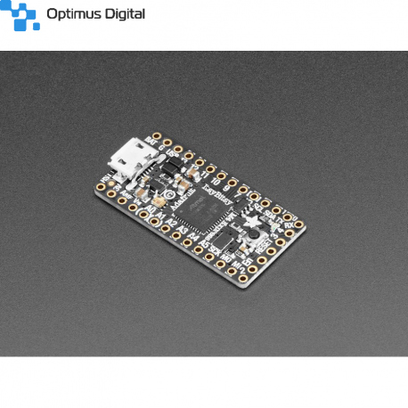 Placă Adafruit ItsyBitsy M4 Express cu ATSAMD51