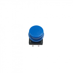 Blue Round Button with Cover