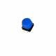 Blue Round Button with Cover
