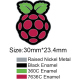 Raspberry Pi Pin Badge
