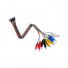 10Pin Alligator Clips Jumper Wires- 20cm
