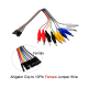 10Pin Alligator Clips Jumper Wires Crocodile Dupont Line with Female Connector Cable for DIY Connection - 20cm