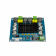Amplificator Audio în Clasa D TPA3116D2 (2 x 120 W)