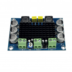 Mono Amplifier Module (12 - 24 V, 100 W)